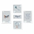 Kit Quadros Menino Avião e Balão