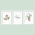 Kit Quadros decorativos Menino Ursinho verde - comprar online