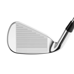 Hierros Rogue ST MAX en internet