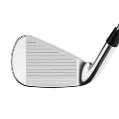 Hierros Rogue ST PRO en internet