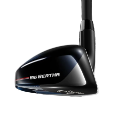 Híbrido Big Bertha B21 en internet