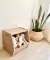 Imagen del carrusel UCHA kids