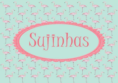 Kit de tecidos para necessaire Sujinhas e Limpinhas Flamingos