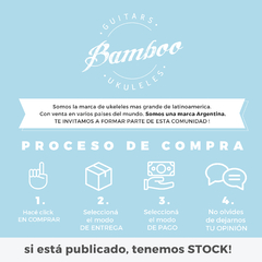 Guitarra Acústica Bamboo Ga 38 Pacifica Con Tensor Y Funda