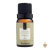 Essência Via Aroma 10ml Classica - Alecrim Silveste