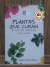 LIVRO - PLANTAS QUE CURAM