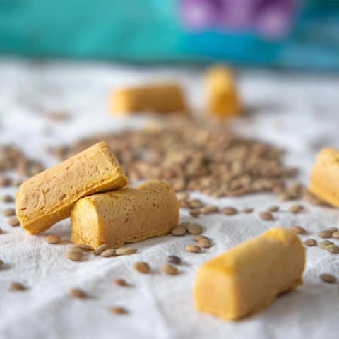 BASTONCITOS DE LENTEJA Y ZANAHORIA (La Capsula de MEL)