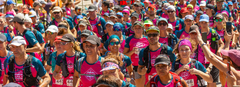 Banner de la categoría Remeras