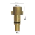 Adaptador Metal Canhão de Espuma Rosca Fêmea 1/4 Encaixe Fino Compatível com Lavadora Intech Machine - comprar online