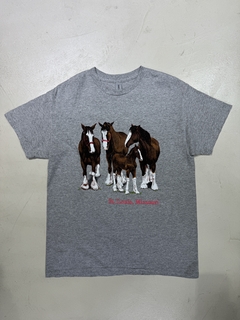 Reme Horses