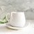 Taza de Té Tulipán con Plato