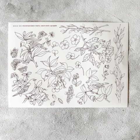 Calco Contorno Pájaros