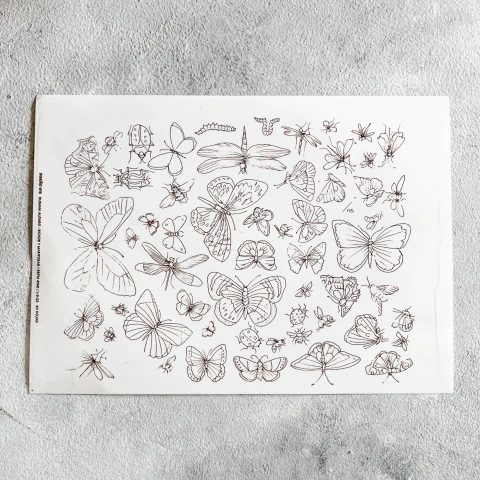 Calco Contorno Bichos y Mariposas