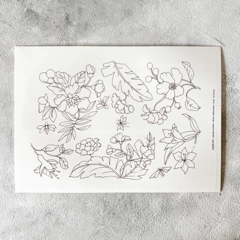 Calco Contorno Selva