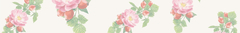 Banner de la categoría Línea Capilar
