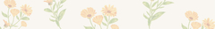 Banner de la categoría Línea Corporal
