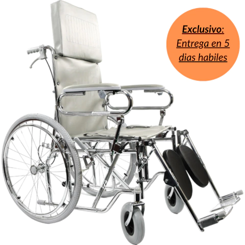 Silla De Ruedas Acero Care-Quip Reclinable Desmontable