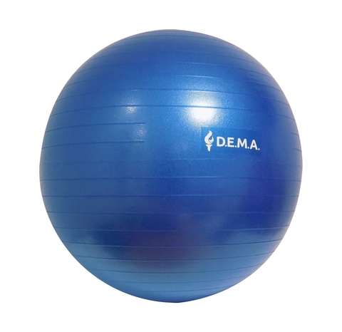 Pelota de esferodinamia 65cm o fit ball MARCA D.E.M.A.