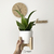 Maceta Encastre Petit (2 en 1 - reversible) ROBLE AMERICANO