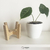 Maceta Encastre Petit (2 en 1 - reversible) ROBLE AMERICANO