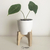 Maceta Encastre Petit (2 en 1 - reversible) ROBLE AMERICANO - tienda online
