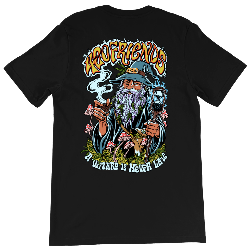 Camiseta Wizard 420