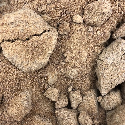 AÇÚCAR DE COCO | 100g