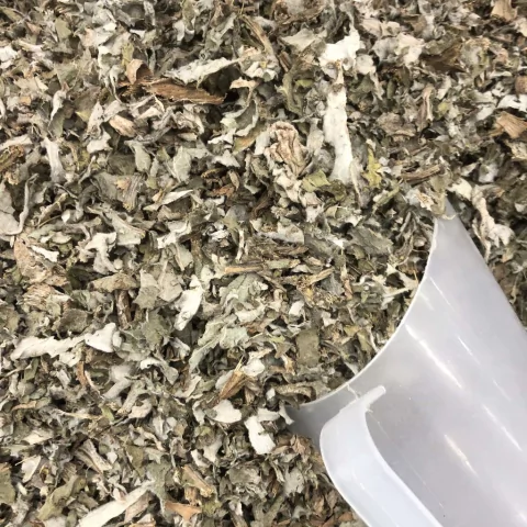 FOLHA DE ALCACHOFRA | 100g