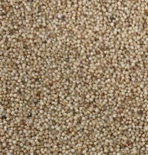 AMARANTO EM GRÃOS | 100g