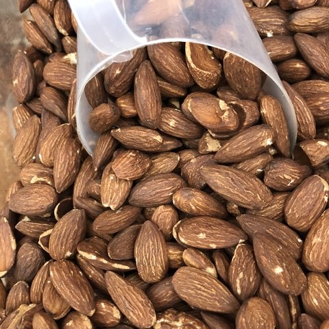 AMÊNDOA TORRADA S/ SAL | 100g