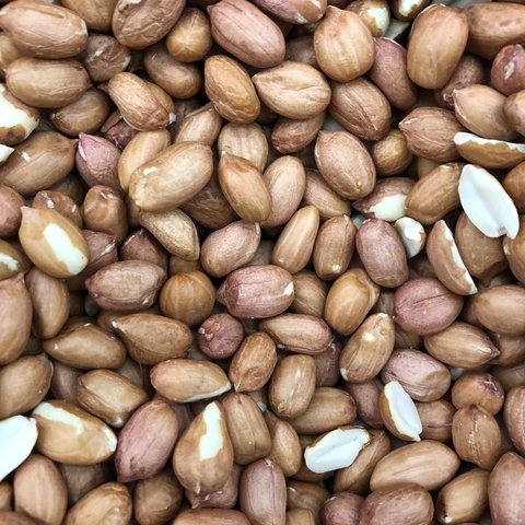AMENDOIM CRU C/ PELE (RUNER) | 100g
