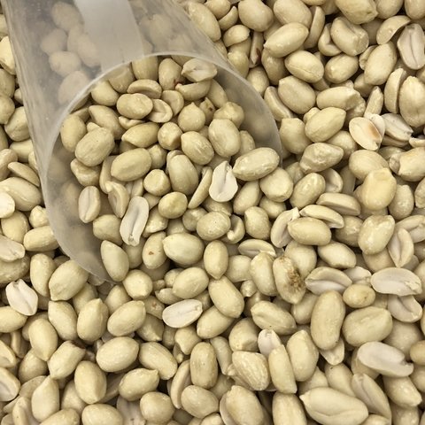 AMENDOIM SEM PELE CRU | 100g