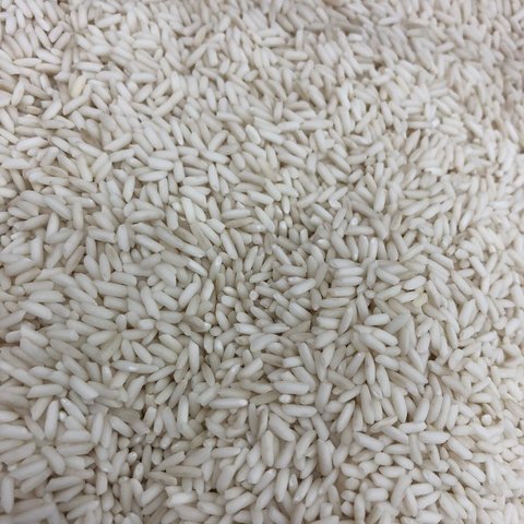 ARROZ MOTI | 100g