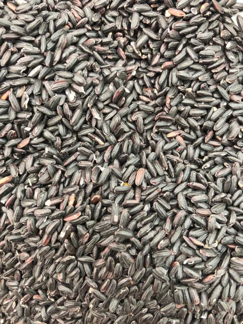 ARROZ NEGRO | 100g