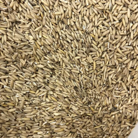 AVEIA EM GRÃOS | 100g