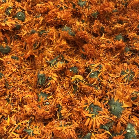 CALÊNDULA FLOR | 100g