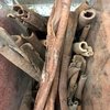 CANELA INTEIRA JAWA | 100g - comprar online