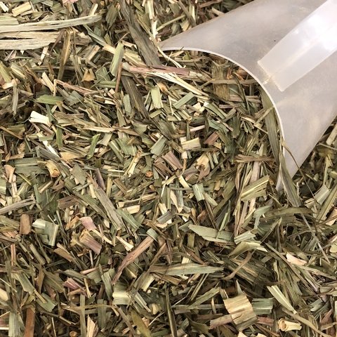 CAPIM CIDREIRA | 100g