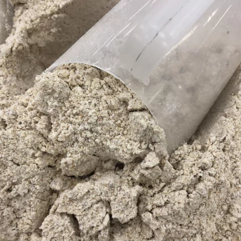 FARINHA DE CASTANHA DE CAJU TORRADA | 100g