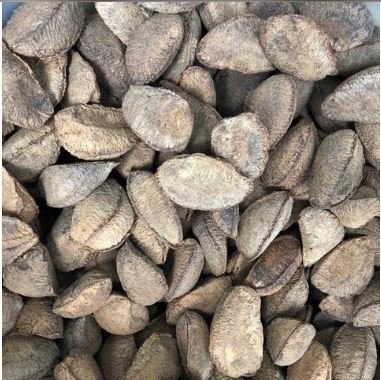 CASTANHA DO PARÁ COM CASCA | 100g - comprar online
