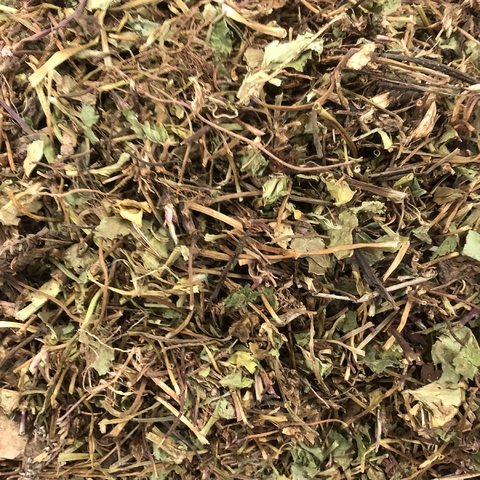 CENTELLA ASIÁTICA | 100g