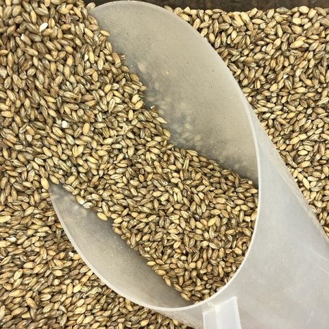 CEVADINHA DESCASCADA | 100g