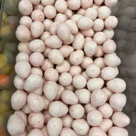 CHICLETE OVOS DE DINOSSAURO (FINI) | 100g