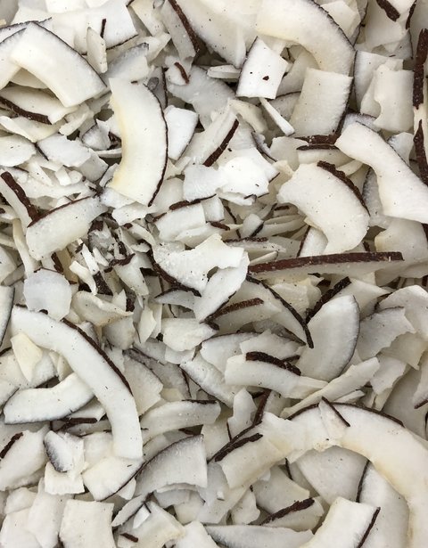 CHIPS DE COCO DESIDRATADO COM BORDA | 100g