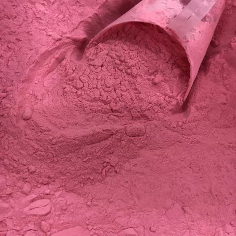 CRANBERRY EM PÓ | 100g
