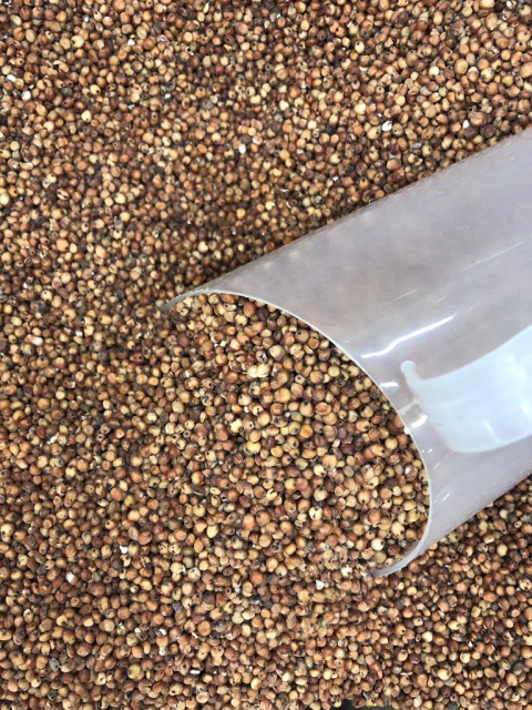 SORGO VERMELHO EM GRÃOS | 100g