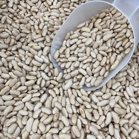FEIJÃO MANTEIGA | 100g - comprar online