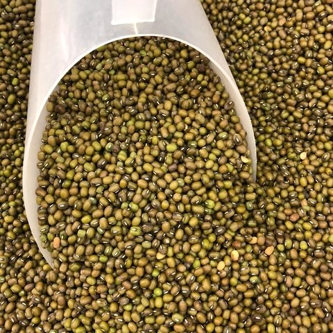 FEIJÃO MOYASHI | 100g