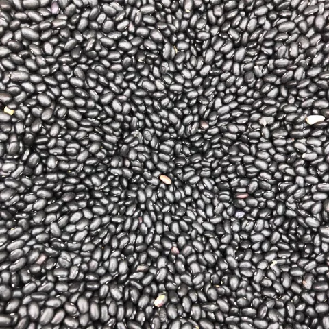FEIJÃO PRETO | 100g