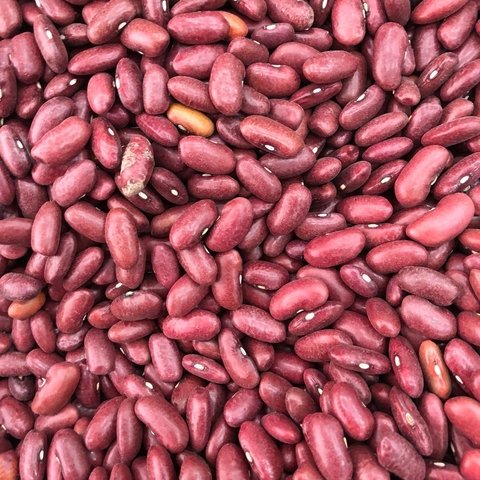 FEIJÃO ROXO JALO | 100g